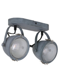 plafon-dos-focos-1312gr-1
