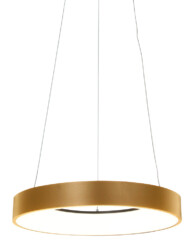 Lámpara de techo anillo dorado-2695GO