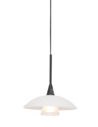 Lámpara colgante de vidrio Steinhauer Tallerken-2655ZW