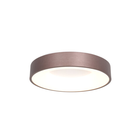 lampara-de-techo-clasica-steinhauer-ringlede-bronce-y-blanco-3086br