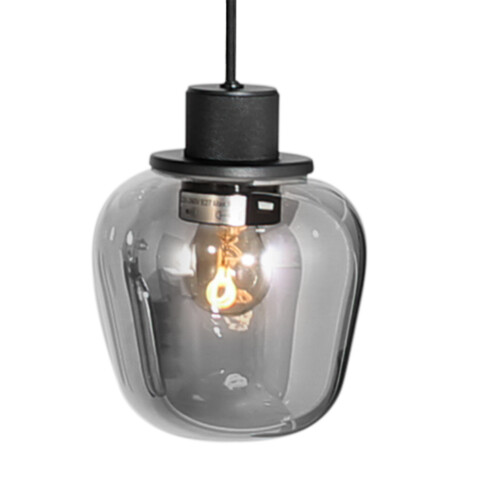 lampara-de-techo-negra-con-seis-bombillas-de-estilo-moderno-steinhauer-reflexion-vidrioahumado-y-negro-3796zw-8