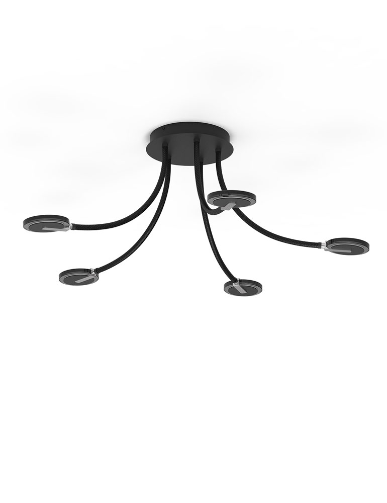 5 luces negras techos Steinhauer Turound transparente