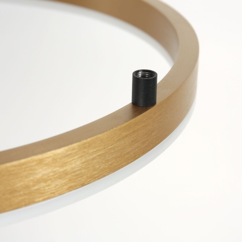 Elegante Lámpara de Techo Mate Negra con Detalle Dorado Steinhauer Mykty dorado - Imagen 10