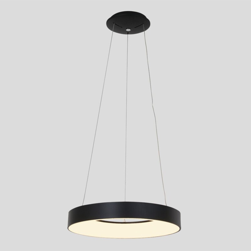 Lámpara colgante circular Steinhauer Ringlede - Imagen 18