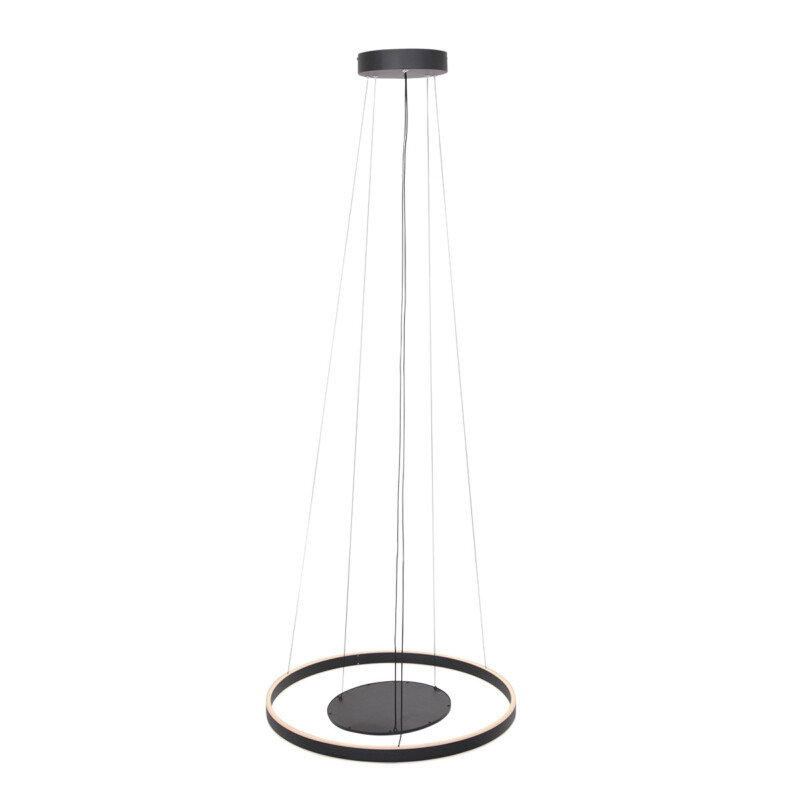 Lámpara colgante de metal negro moderna Steinhauer Ringlux - Imagen 9