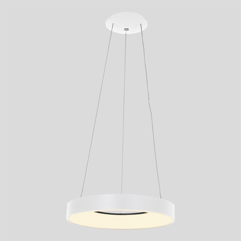 Lámpara colgante LED circular Steinhauer Ringlede - Imagen 11