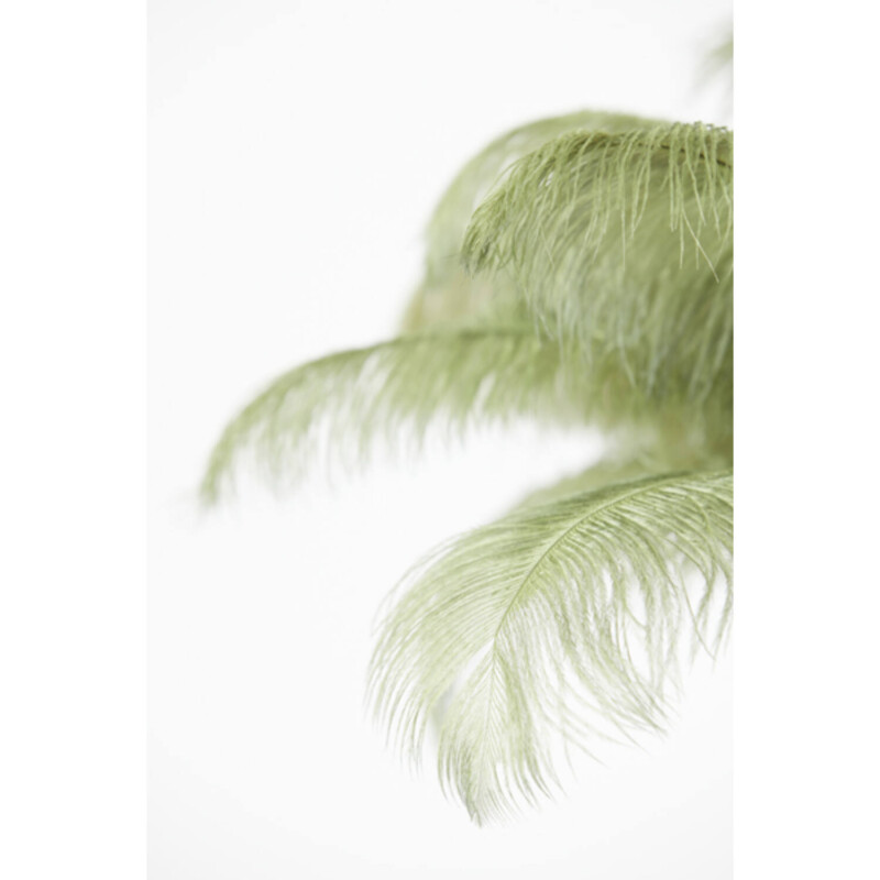 lampara-de-mesa-moderna-negra-con-plumas-de-avestruz-verdes-light-and-living-feather-1860669-5