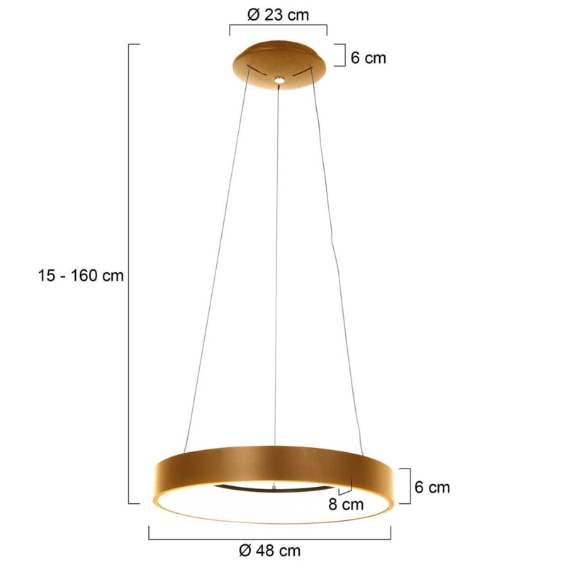 Lámpara de techo anillo dorado Steinhauer Ringlede - Imagen 6