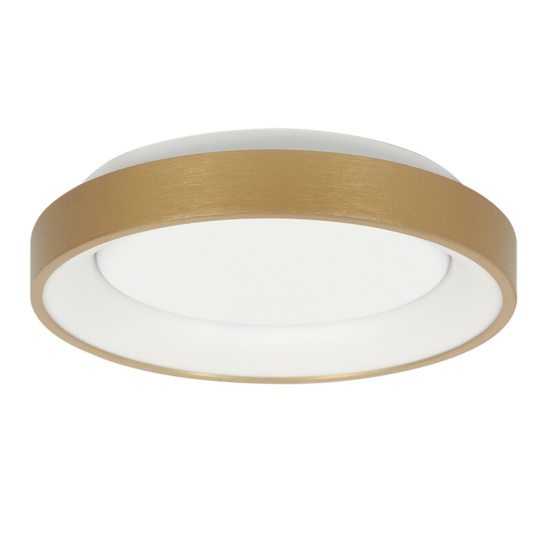 Lámpara de Techo LED Dorada Minimalista Redonda Steinhauer Ringlede dorado y blanco - Imagen 2