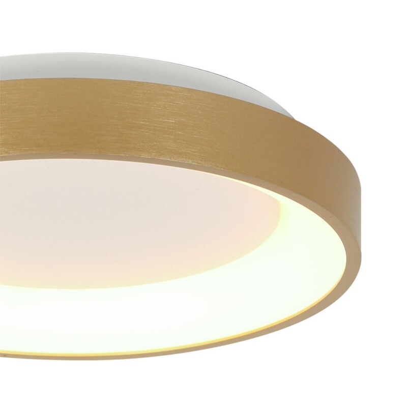 Lámpara de Techo LED Dorada Minimalista Redonda Steinhauer Ringlede dorado y blanco - Imagen 3
