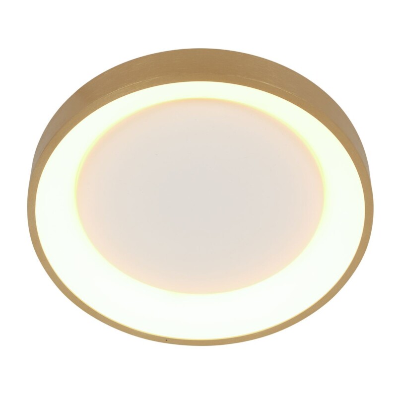 Lámpara de Techo LED Dorada Minimalista Redonda Steinhauer Ringlede dorado y blanco - Imagen 7