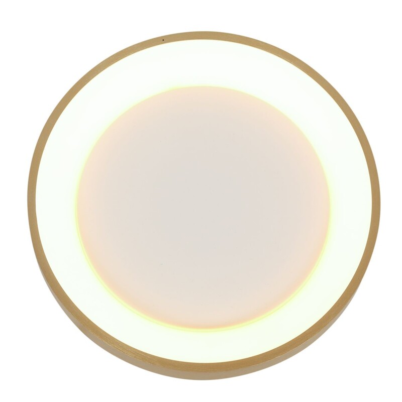 lampara-de-techo-led-dorada-minimalista-redonda-steinhauer-ringlede-dorado-y-blanco-3691go-9