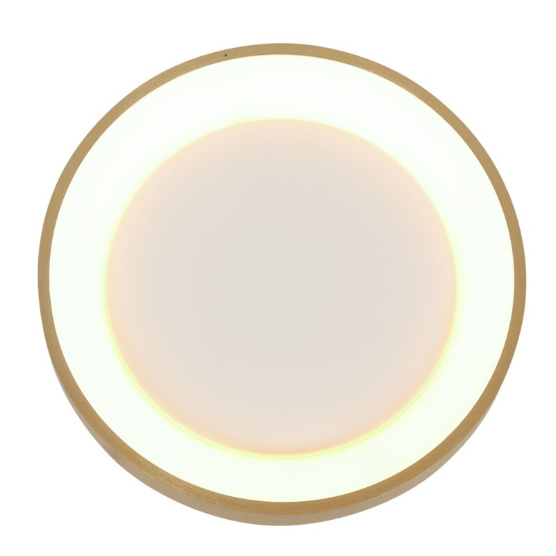 Lámpara de Techo LED Dorada Minimalista Redonda Steinhauer Ringlede dorado y blanco - Imagen 9