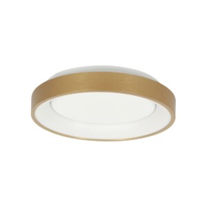 lampara-de-techo-led-dorada-minimalista-steinhauer-ringlede-dorado-y-blanco-3690go-2