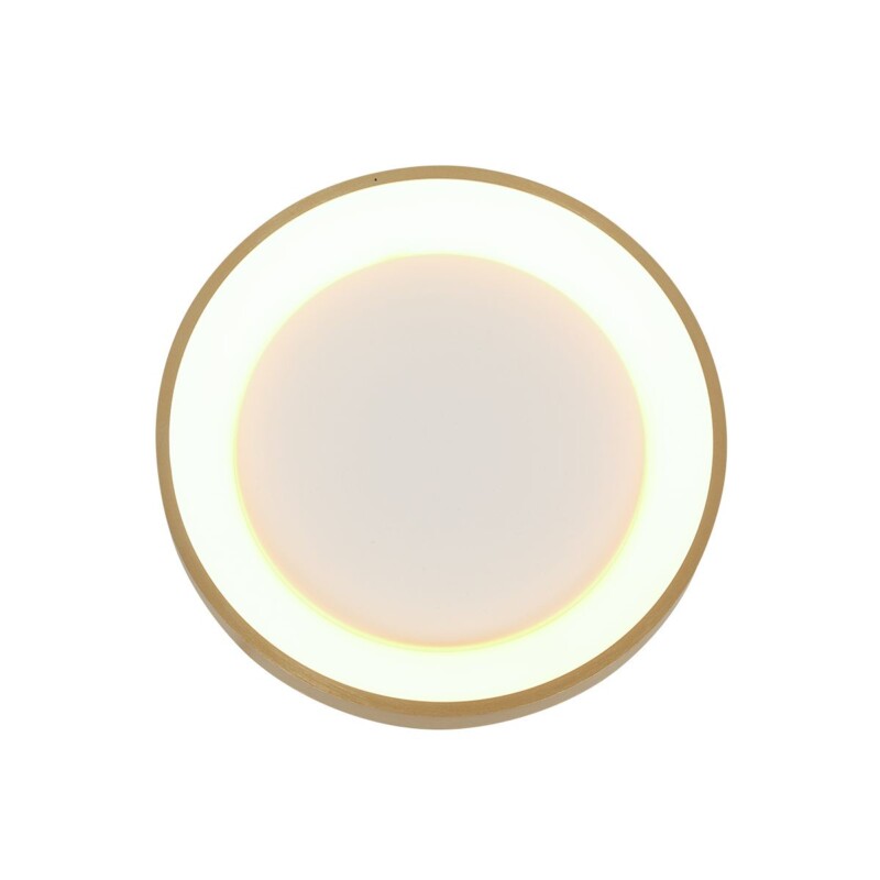 lampara-de-techo-led-dorada-minimalista-steinhauer-ringlede-dorado-y-blanco-3690go-9