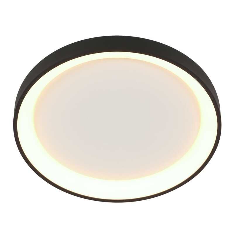 Lámpara de Techo LED Redonda Negra Moderna Steinhauer Ringlede blanco y negro - Imagen 8