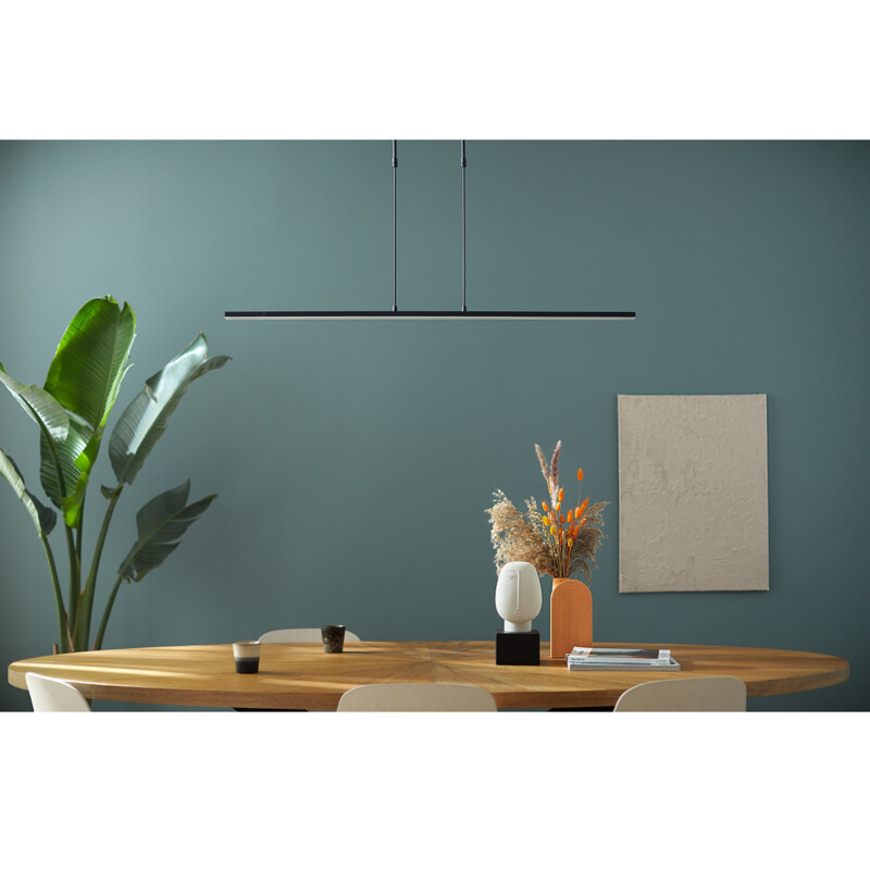 Lámpara de techo LED Steinhauer Humilus, negro - Imagen 3