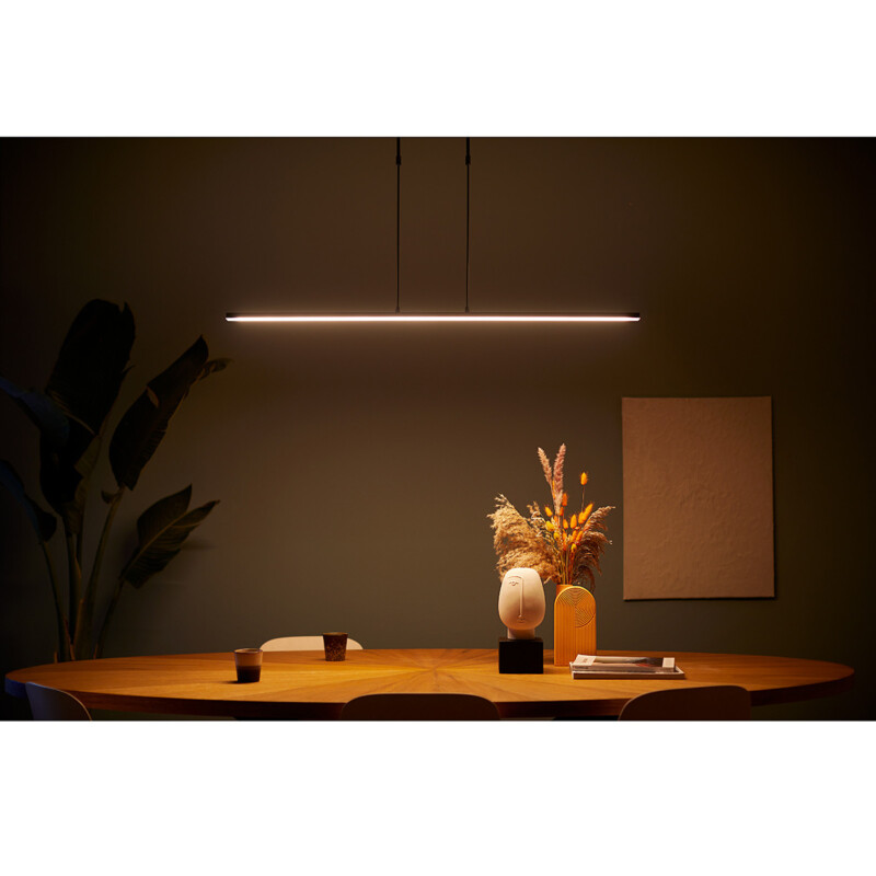 Lámpara de techo LED Steinhauer Humilus, negro - Imagen 4
