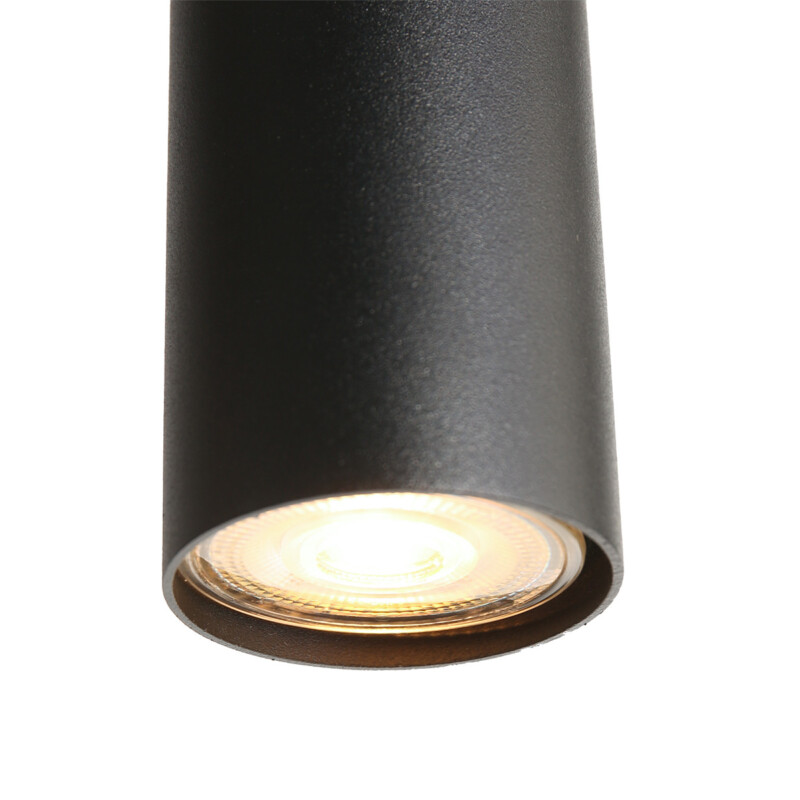 lampara-de-techo-negra-con-seis-bombillas-redondas-de-estilo-moderno-steinhauer-bollique-vidrioahumado-y-negro-3798zw-11