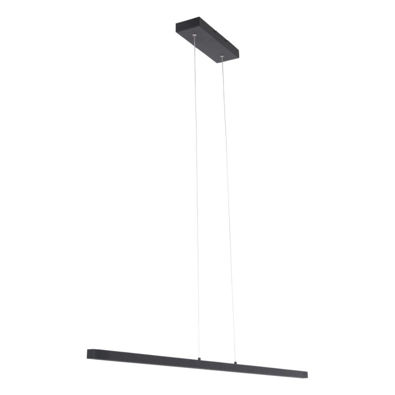 Lámpara colgante moderna de metal negro Mexlite Danske - Imagen 12