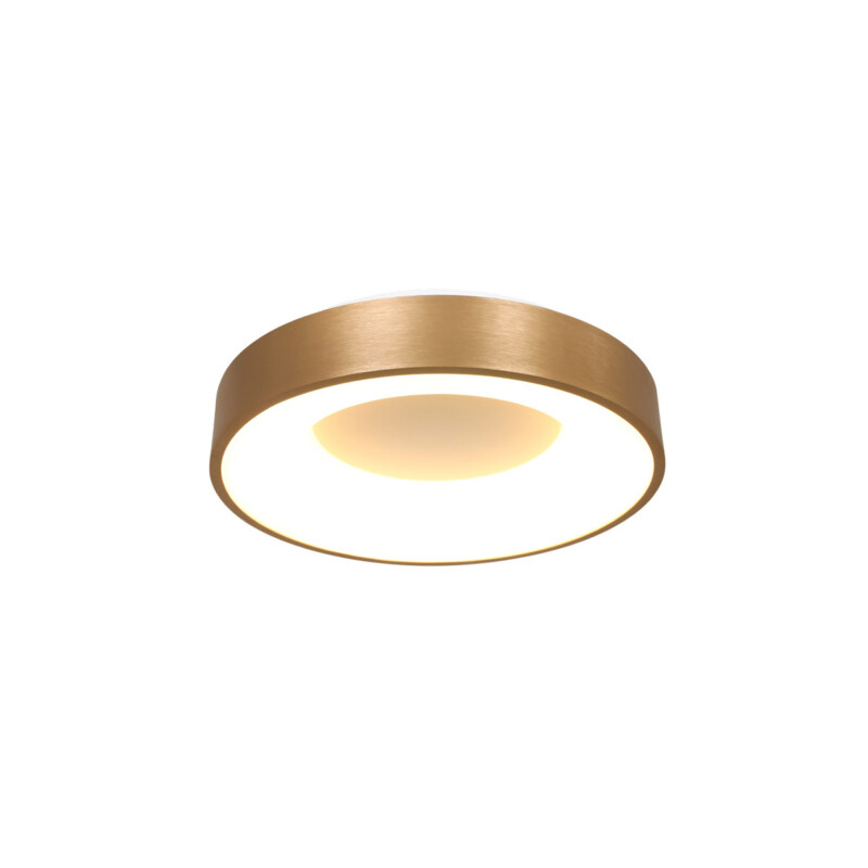 moderna-lampara-techo-anillos-steinhauer-ringlede-dorado-y-blanco-3086go-9