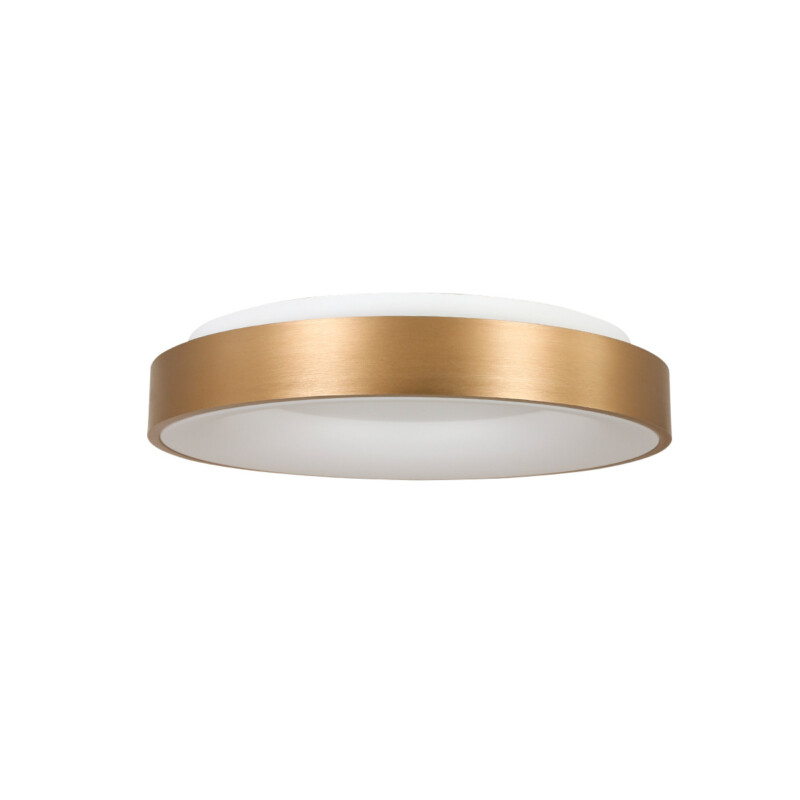 plafon-anillo-dorado-steinhauer-ringlede-2562go-3