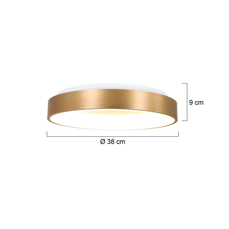 plafon-anillo-dorado-steinhauer-ringlede-2562go-7