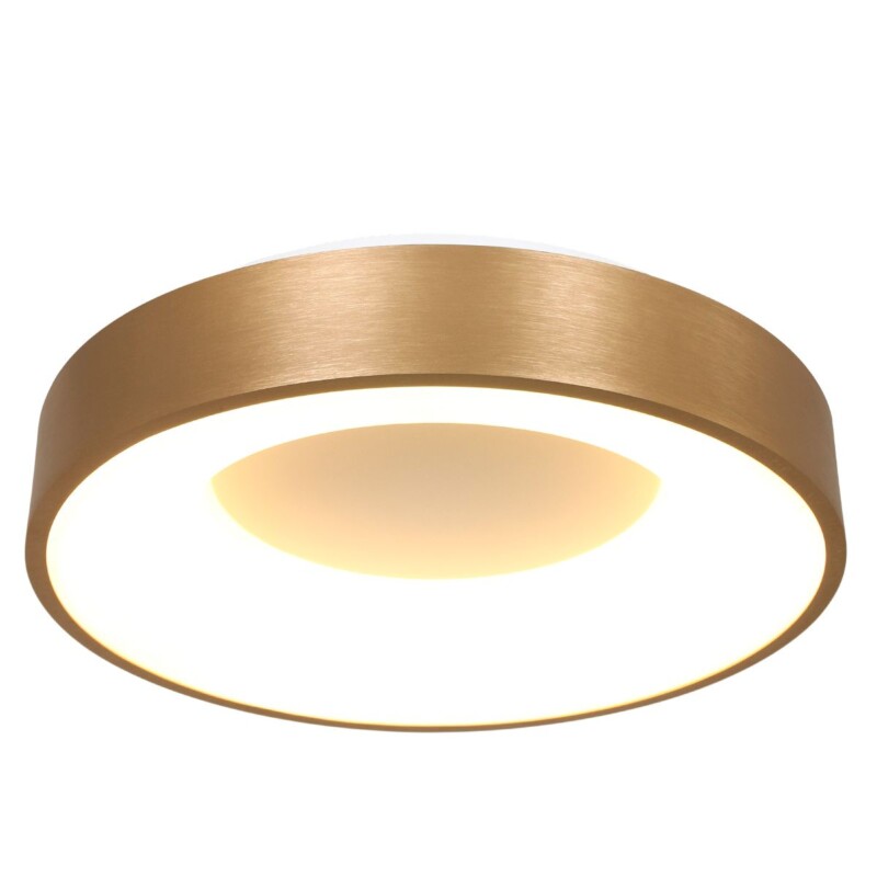 Plafón dorado y blanco Steinhauer Ringlede - Imagen 10