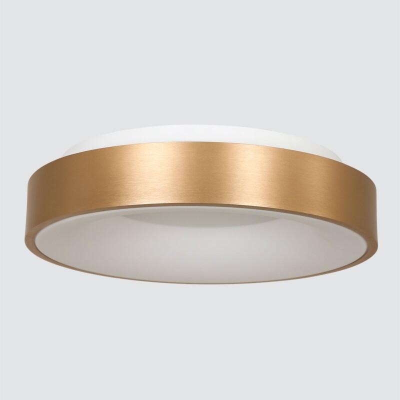 Plafón dorado y blanco Steinhauer Ringlede - Imagen 12