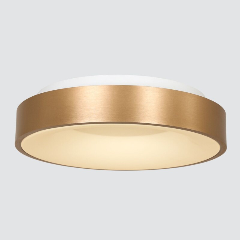 Plafón dorado y blanco Steinhauer Ringlede - Imagen 13