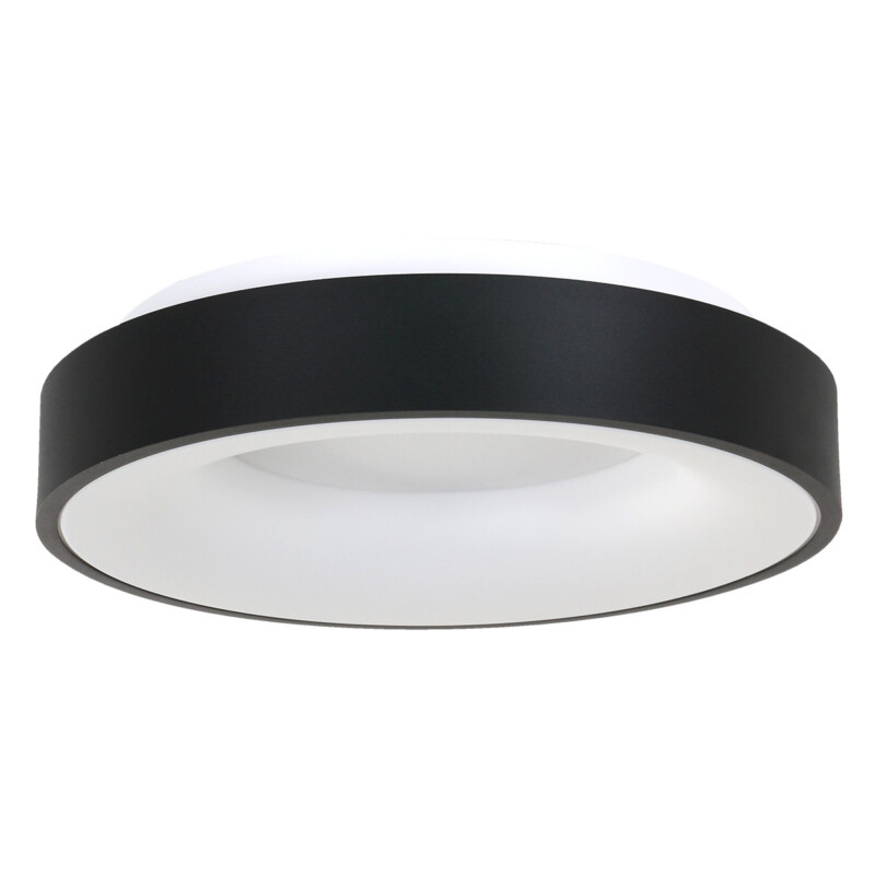 Plafón grande negro Steinhauer Ceiling and Wall - Imagen 2