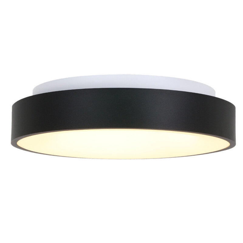 plafon-grande-negro-steinhauer-ceiling-and-wall-2563zw-7