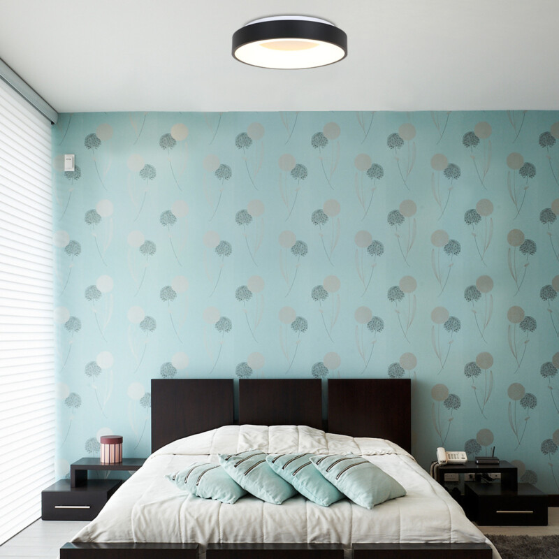 Plafón LED negro Steinhauer Ceiling and Wall - Imagen 3