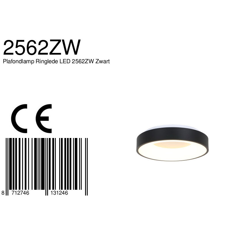 plafon-led-negro-steinhauer-ceiling-and-wall-2562zw-9