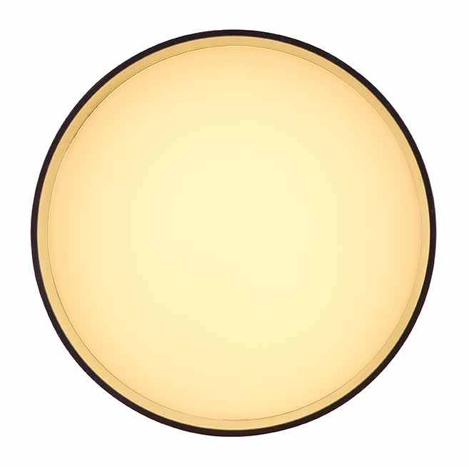 Lámpara de techo moderna de aluminio negro Globo Jenny - Imagen 2