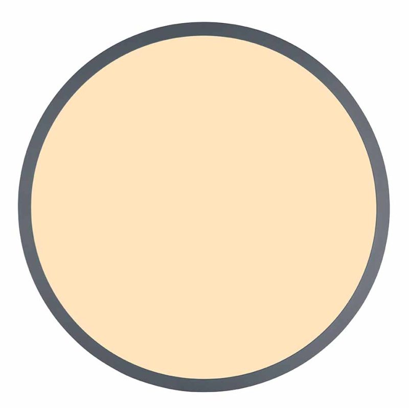 Lámpara de techo rural gris de metal Globo Doro - Imagen 2