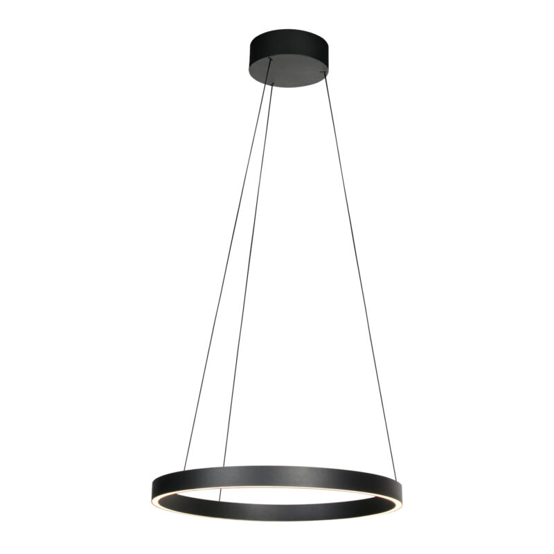 Lámpara LED colgante negra de diseño ajustable en forma de aro Steinhauer Mykty