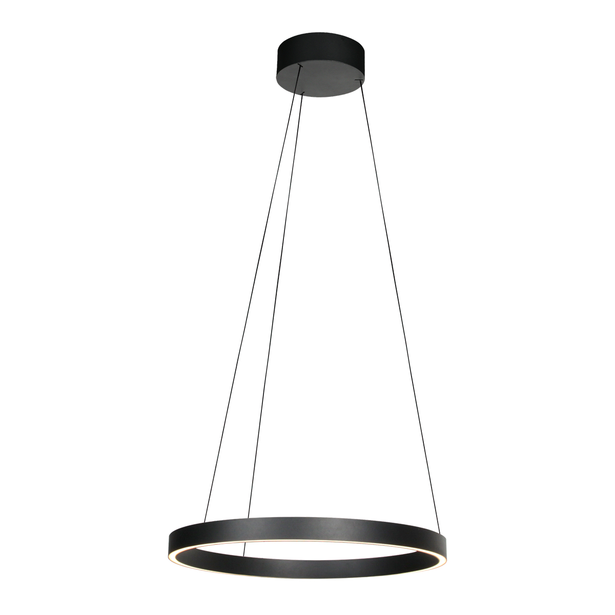 Lámpara LED colgante negra de diseño ajustable en forma de aro Steinhauer Mykty