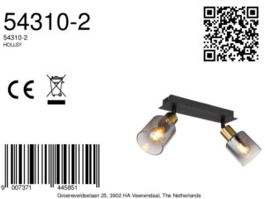 globo-foco-hollsy-negro-vidrio-focodesuperficie-e14-54310-2-8a