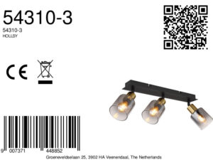 globo-foco-hollsy-negro-vidrio-focodesuperficie-e14-54310-3-8a