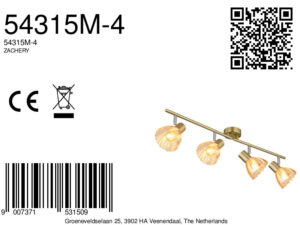 globo-foco-zachery-bronce-vidrio-focodesuperficie-e14-54315m-4-8a