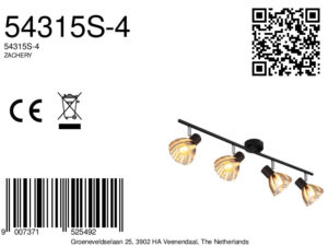 globo-foco-zachery-negro-vidrio-focodesuperficie-e14-54315s-4-8a