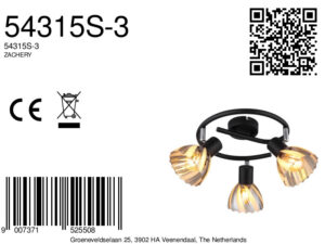 globo-foco-zachery-negro-vidrio-ø46cm-e14-54315s-3-8a