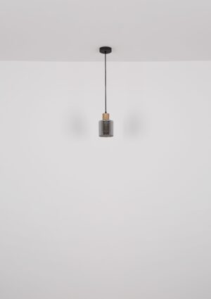 globo-lámparacolgante-aleidis-negro-vidrio-ø12cm-e27-15768-1