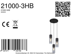 globo-lámparacolgante-annika-negro-vidrio-ø30cm-e27-21000-3hb-8a