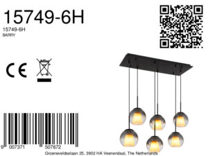 globo-lámparacolgante-barry-negro-vidrio-granlámparadecomedor-e27-15749-6h-8a