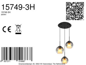 globo-lámparacolgante-barry-negro-vidrio-ø45cm-e27-15749-3h-8a