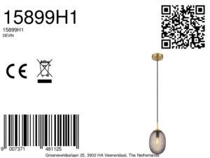 globo-lámparacolgante-devin-dorado-vidrio-ø15cm-e14-15899h1-8a