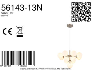 globo-lámparacolgante-grappy-acero-vidrio-ø56cm-g9-56143-13n-8a