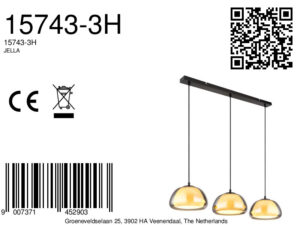 globo-lámparacolgante-jella-negro-vidrio-granlámparadecomedor-e14-15743-3h-8a